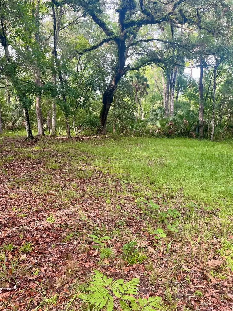 2260 Panorama Drive Chuluota FL 32766