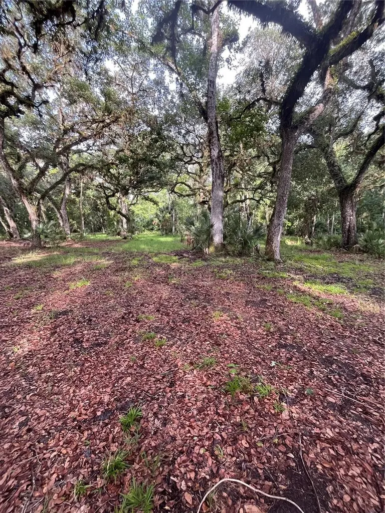 2260 Panorama Drive Chuluota FL 32766