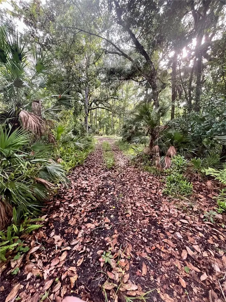 2260 Panorama Drive Chuluota FL 32766