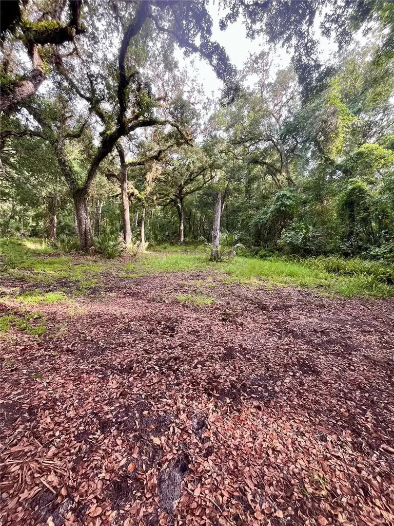 2260 Panorama Drive Chuluota FL 32766