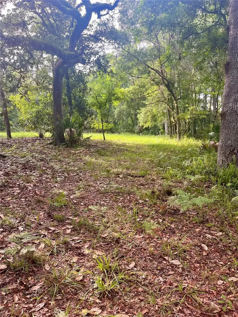 2260 Panorama Drive Chuluota FL 32766