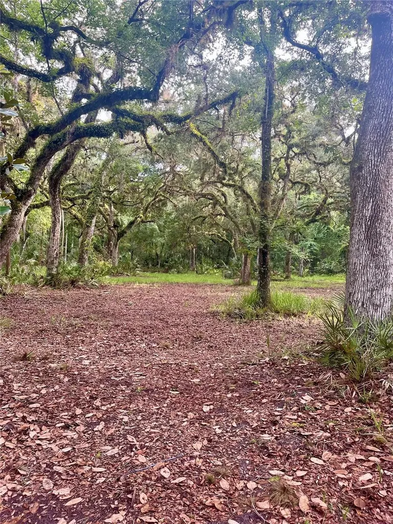 2260 Panorama Drive Chuluota FL 32766
