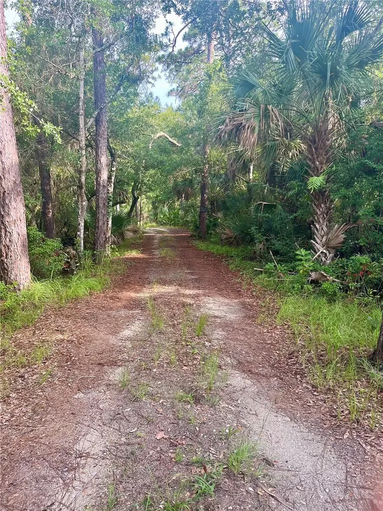 2260 Panorama Drive Chuluota FL 32766