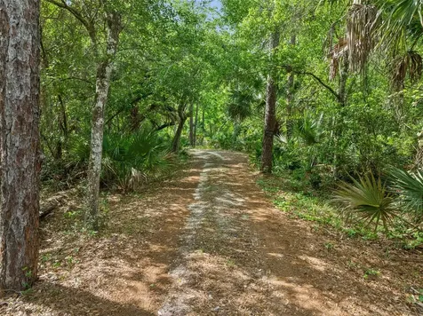 2260 Panorama Drive Chuluota FL 32766