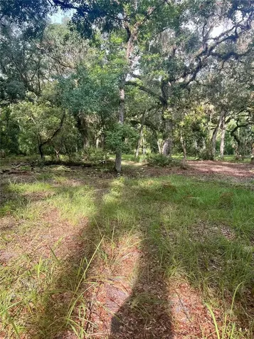 2260 Panorama Drive Chuluota FL 32766