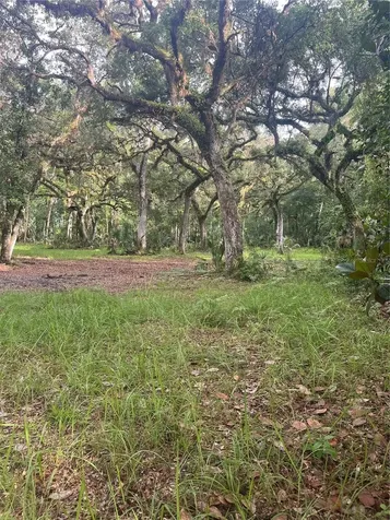 2260 Panorama Drive Chuluota FL 32766