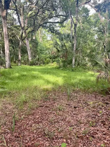 2260 Panorama Drive Chuluota FL 32766