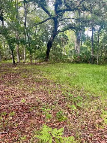 2260 Panorama Drive Chuluota FL 32766