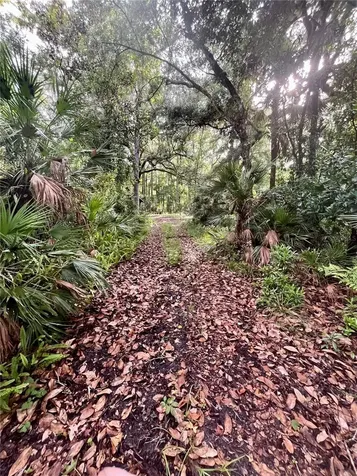 2260 Panorama Drive Chuluota FL 32766