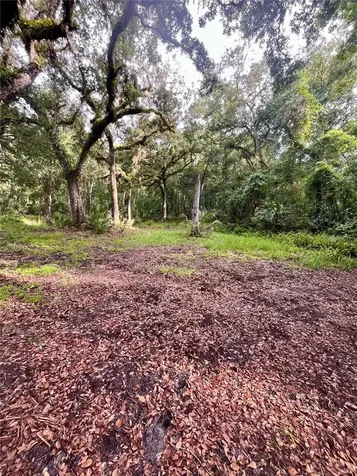 2260 Panorama Drive Chuluota FL 32766