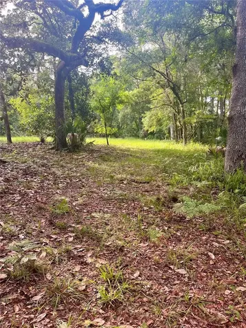 2260 Panorama Drive Chuluota FL 32766