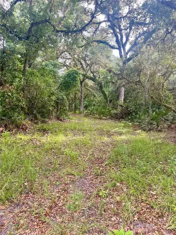 2260 Panorama Drive Chuluota FL 32766