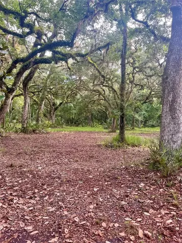 2260 Panorama Drive Chuluota FL 32766