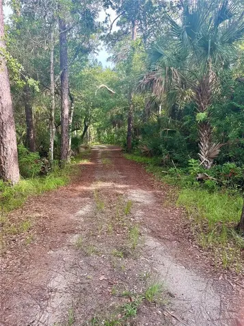2260 Panorama Drive Chuluota FL 32766