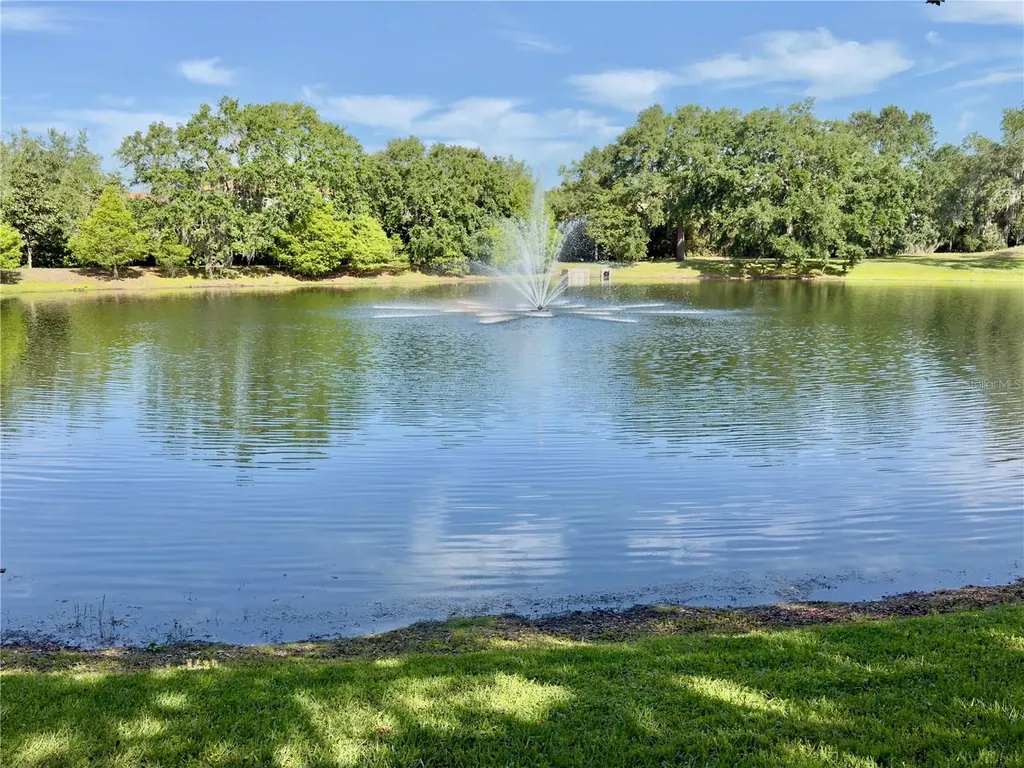 2068 Roberts Point Drive Windermere FL 34786
