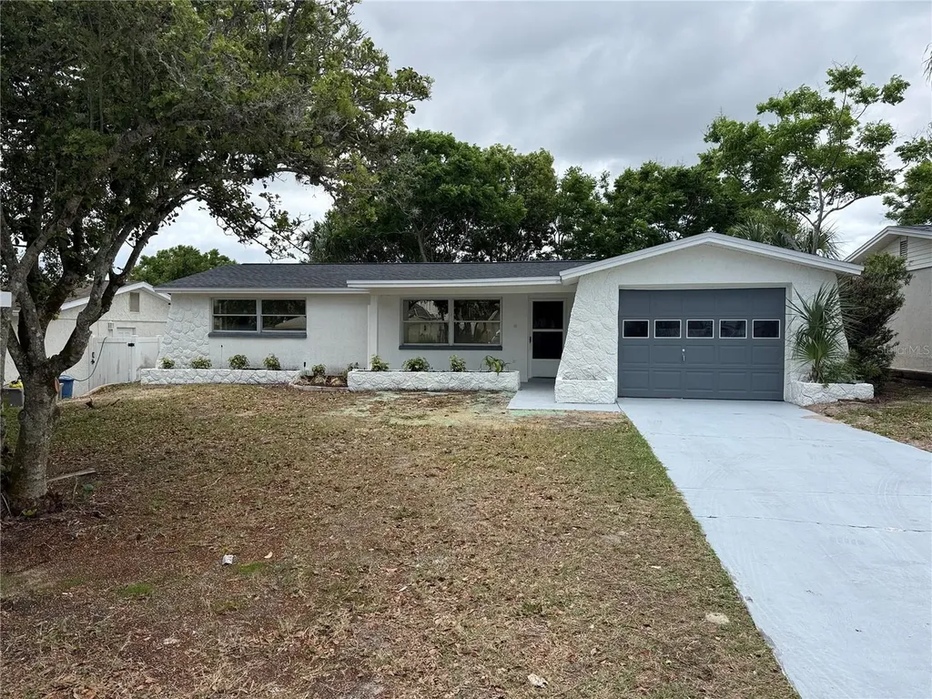 5165 Greenwood Street New Port Richey FL 34653