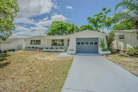 5165 Greenwood Street New Port Richey FL 34653