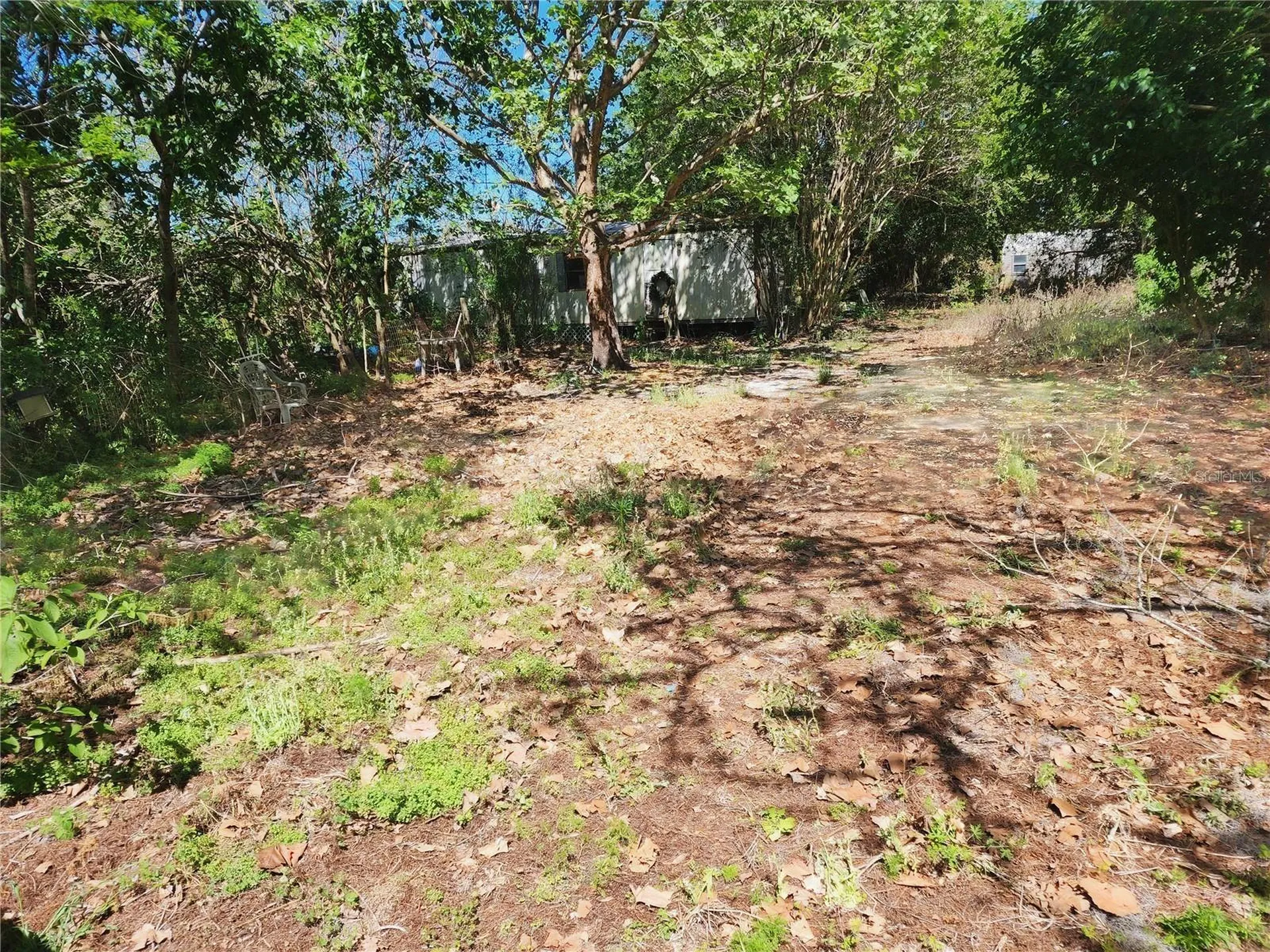 16415 SE 210th Terrace Hawthorne FL 32640