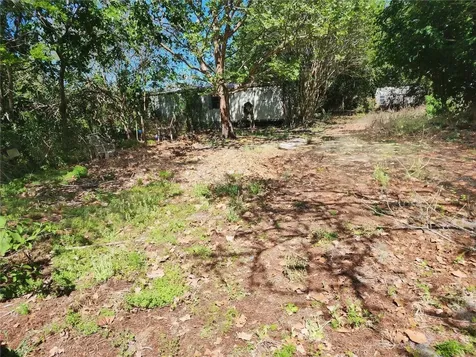 16415 SE 210th Terrace Hawthorne FL 32640