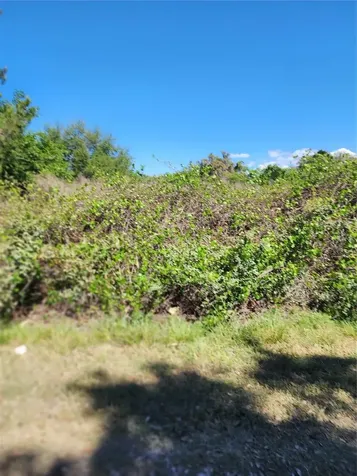 16415 SE 210th Terrace Hawthorne FL 32640