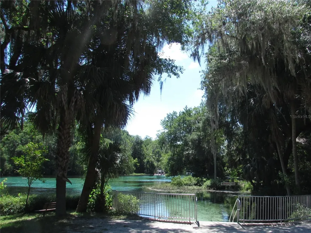 9832 SW 196th Avenue Road Dunnellon FL 34432