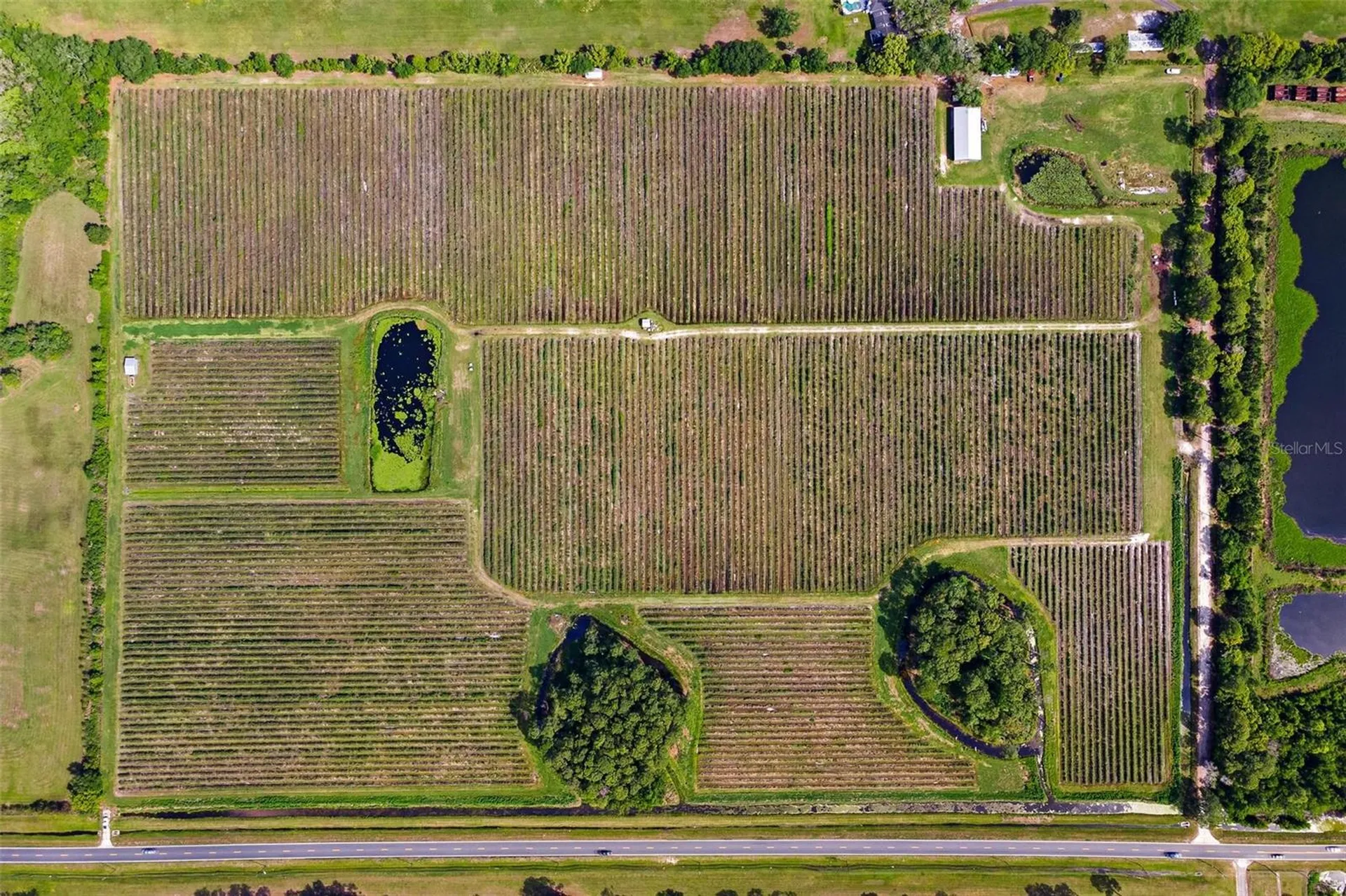 7453 Jones Avenue Mount Dora FL 32757