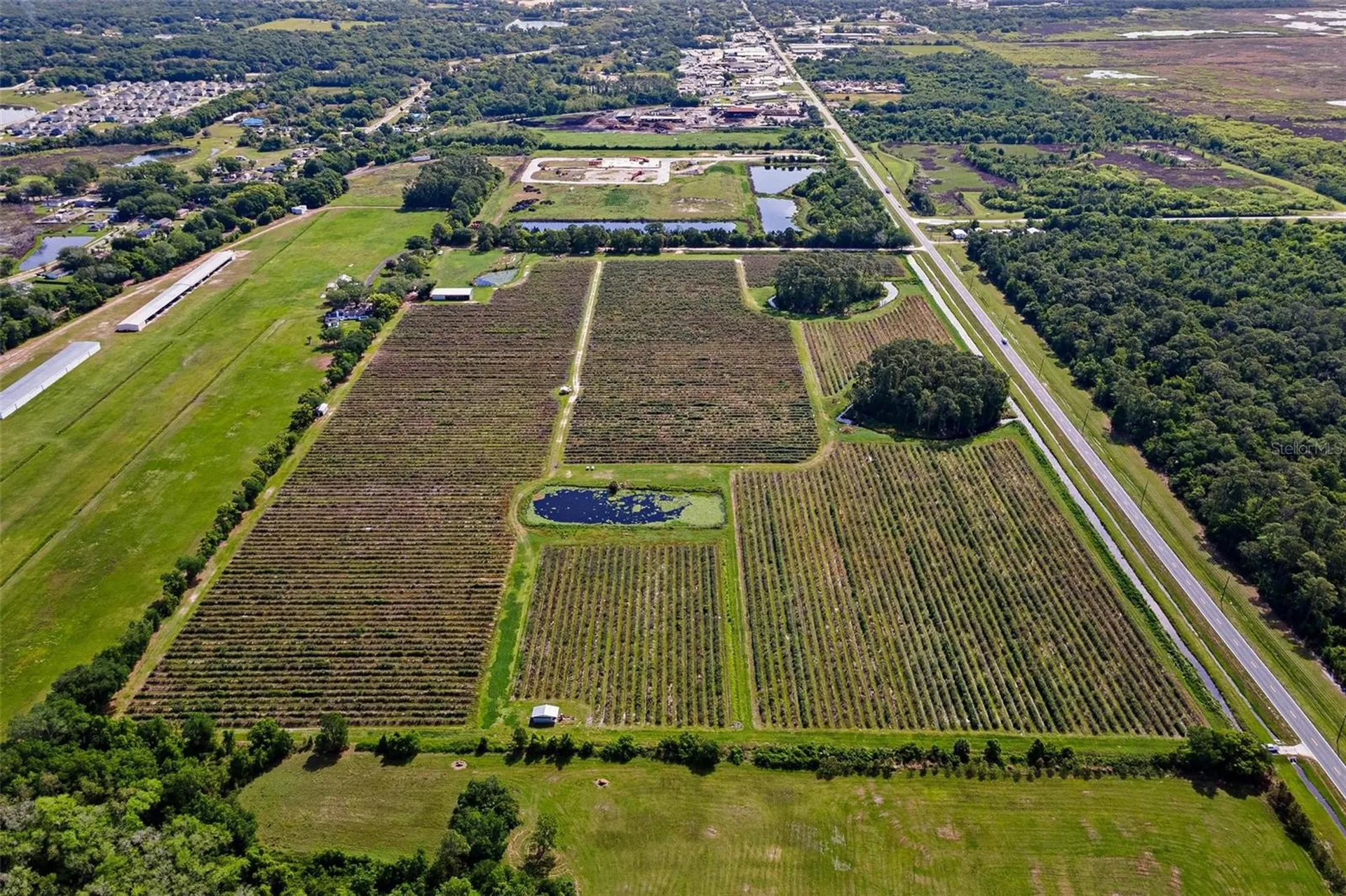 7453 Jones Avenue Mount Dora FL 32757