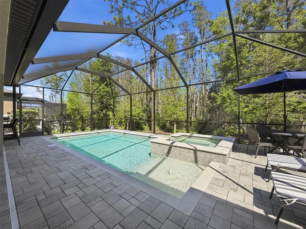 21931 Woodshadow Way Land O Lakes FL 34637