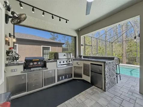 21931 Woodshadow Way Land O Lakes FL 34637
