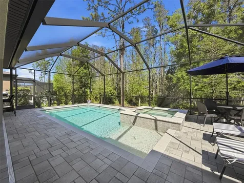 21931 Woodshadow Way Land O Lakes FL 34637