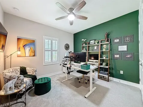 21931 Woodshadow Way Land O Lakes FL 34637