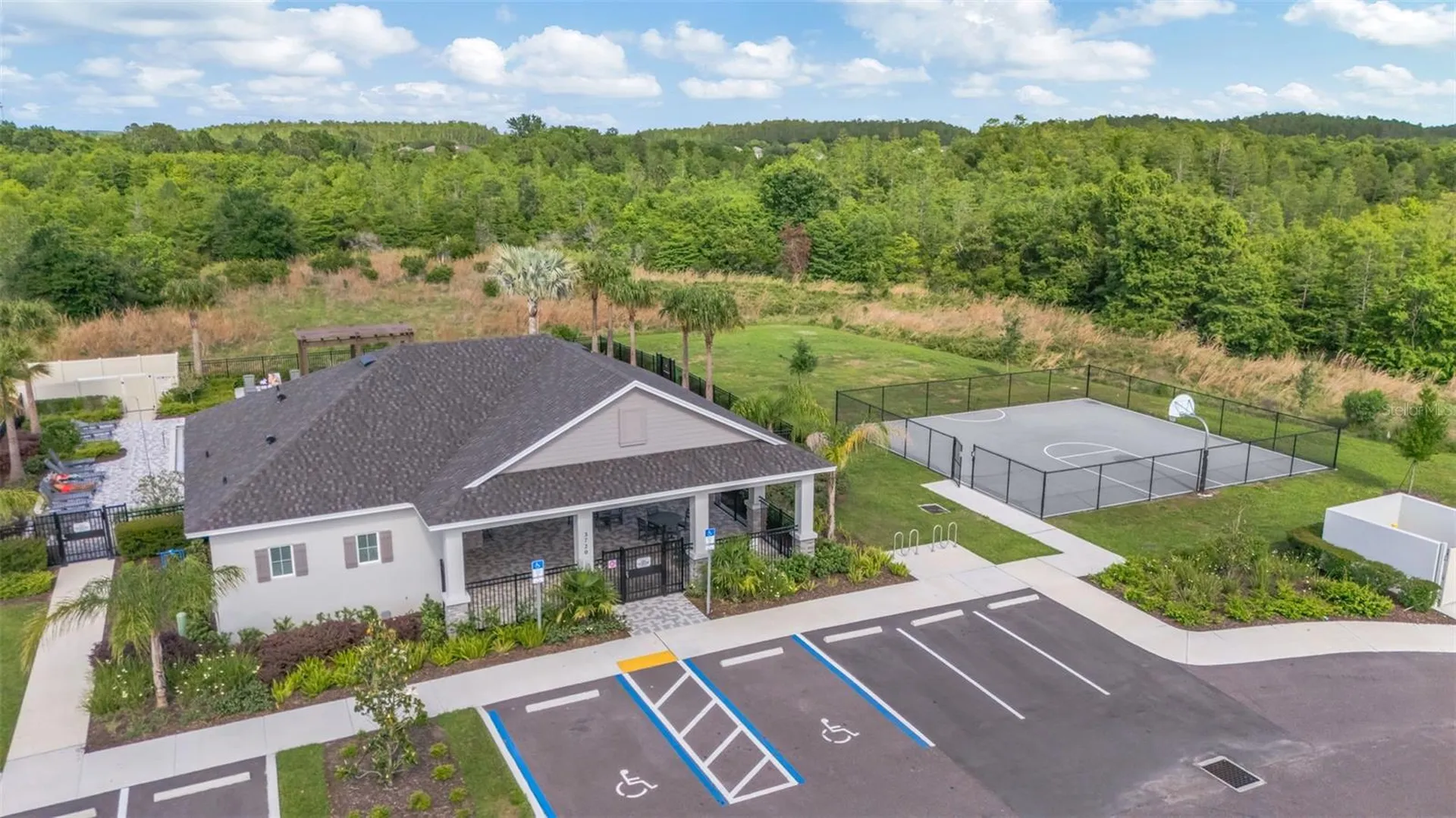 17226 Amber Aspen Way Land O Lakes FL 34638