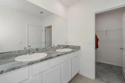 17226 Amber Aspen Way Land O Lakes FL 34638