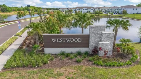 17226 Amber Aspen Way Land O Lakes FL 34638