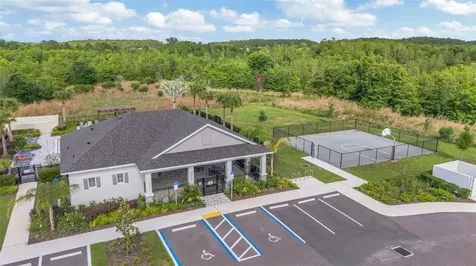 17226 Amber Aspen Way Land O Lakes FL 34638