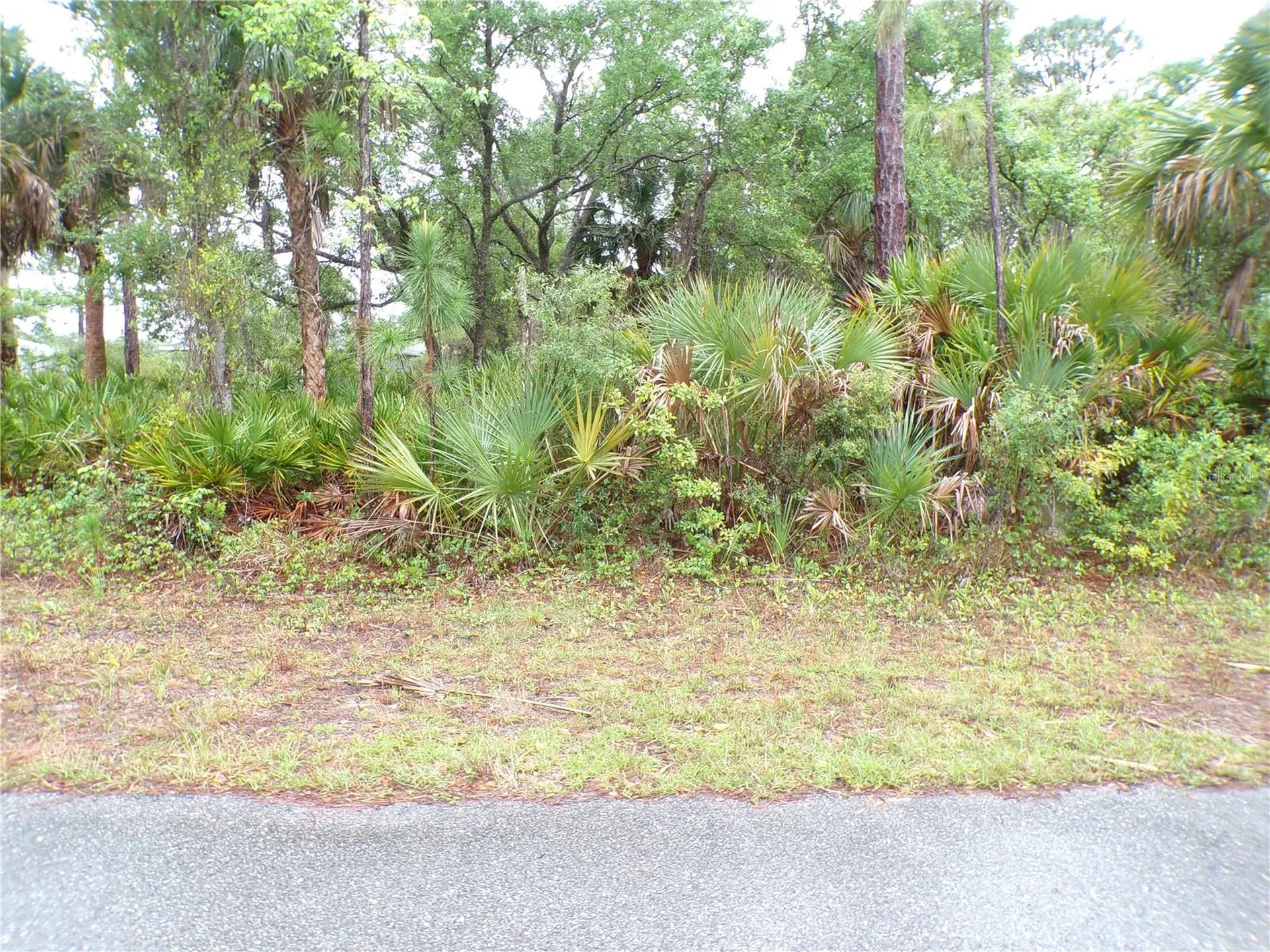 14317 Harcourt Avenue Port Charlotte FL 33953