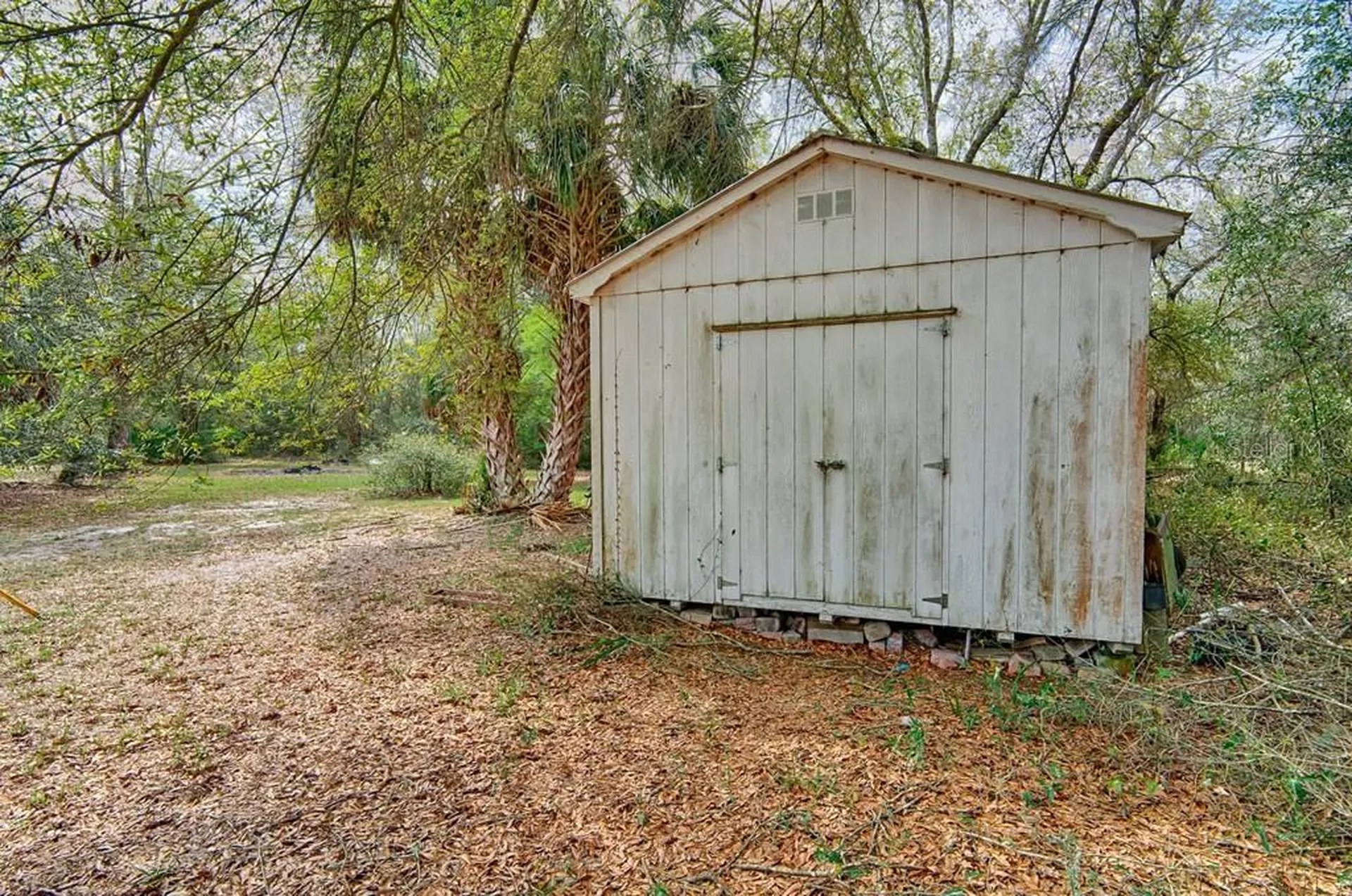9880 NW 110th Street Chiefland FL 32626