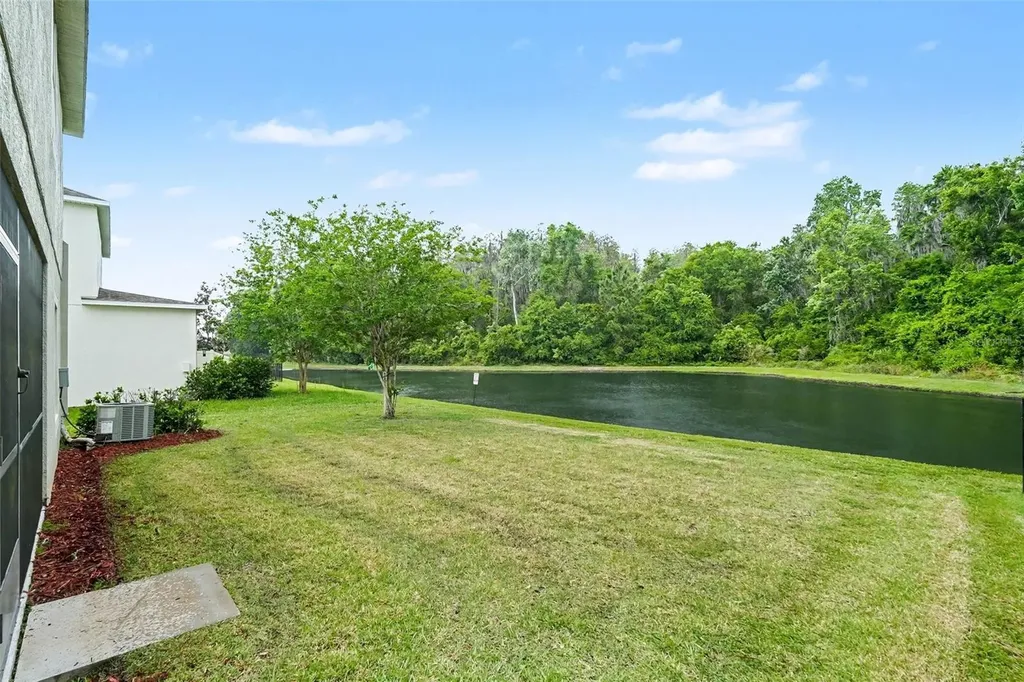 1677 Ludington Avenue Wesley Chapel FL 33543