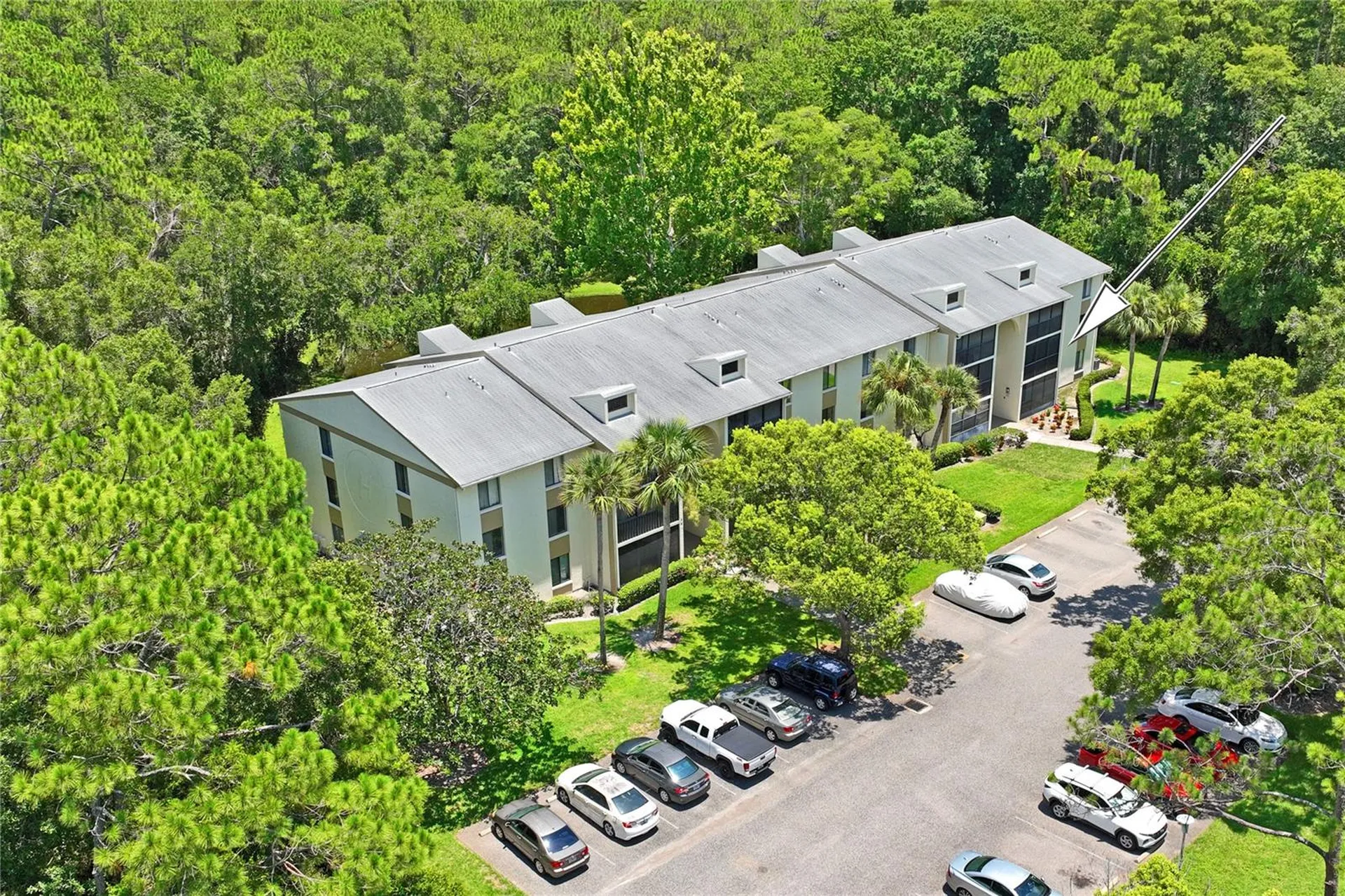 3232 Lake Pine Way Tarpon Springs FL 34688