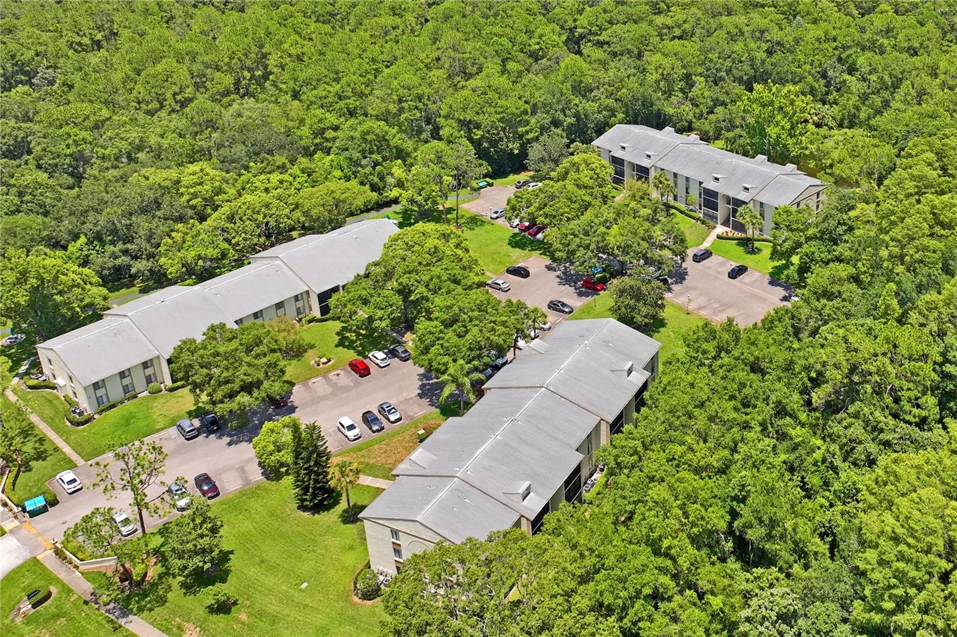 3232 Lake Pine Way Tarpon Springs FL 34688