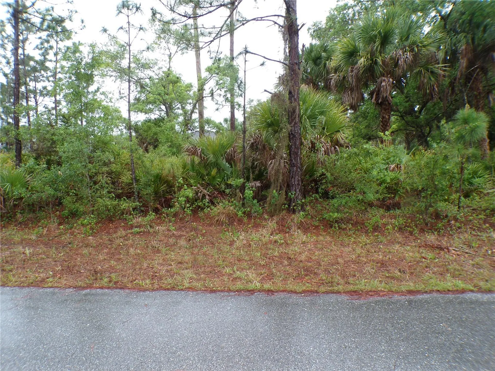 14309 Harcourt Avenue Port Charlotte FL 33953
