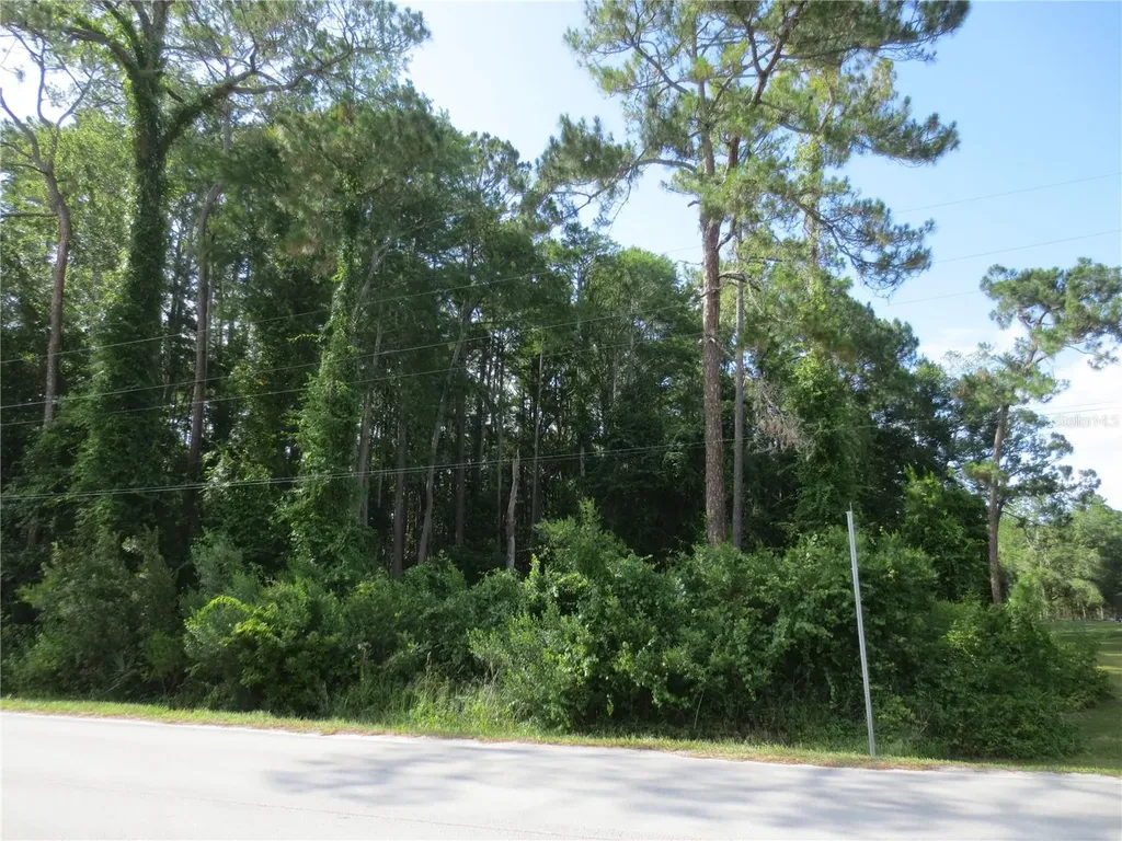 14655 NE 14th Street Road Silver Springs FL 34488