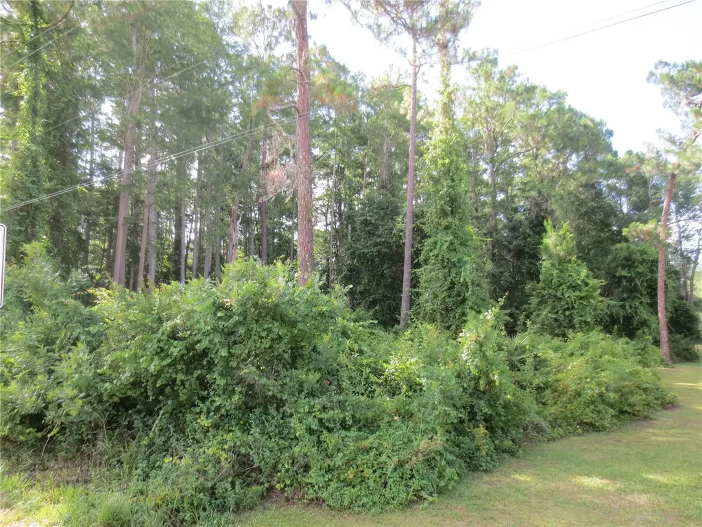 14655 NE 14th Street Road Silver Springs FL 34488