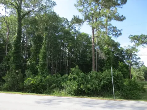 14655 NE 14th Street Road Silver Springs FL 34488