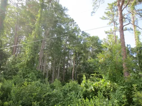 14655 NE 14th Street Road Silver Springs FL 34488