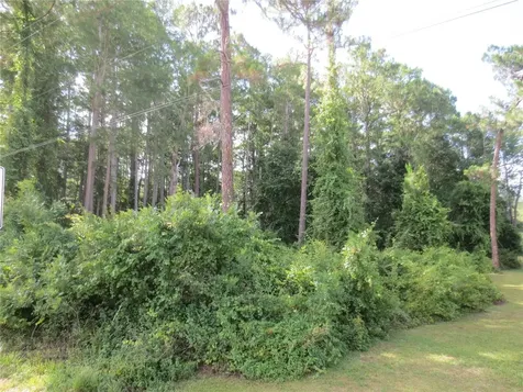 14655 NE 14th Street Road Silver Springs FL 34488