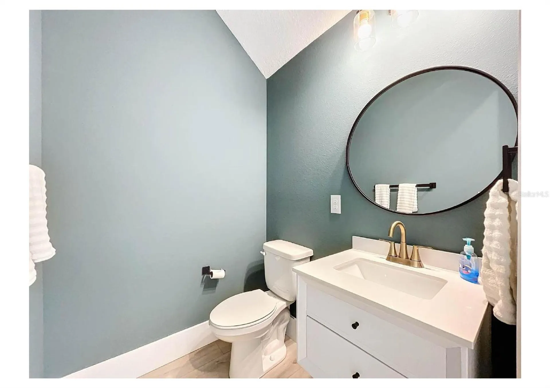 2890 Alexandria Marie Lane Lutz FL 33559