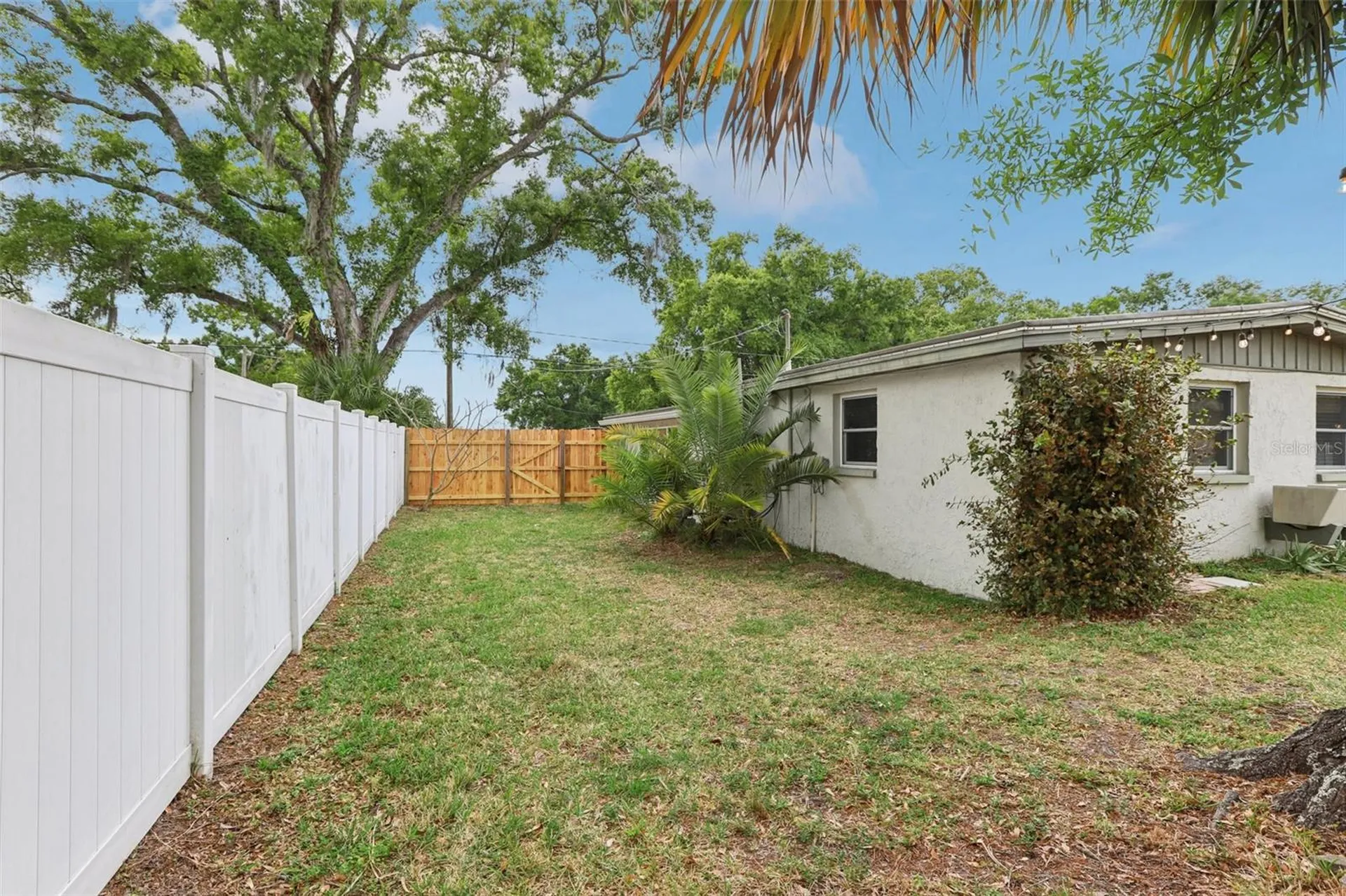 7805 N Glen Avenue Tampa FL 33614