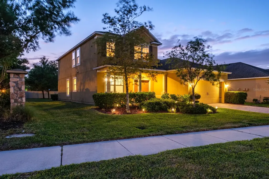 1653 Nature View Drive Lutz FL 33558