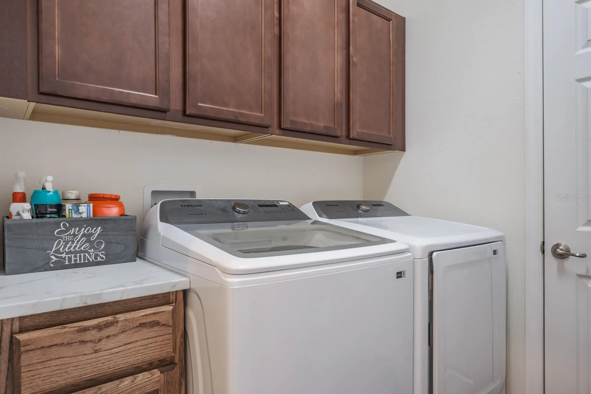 1653 Nature View Drive Lutz FL 33558